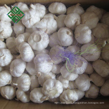 wholesale new crop fresh natural pure white garlic